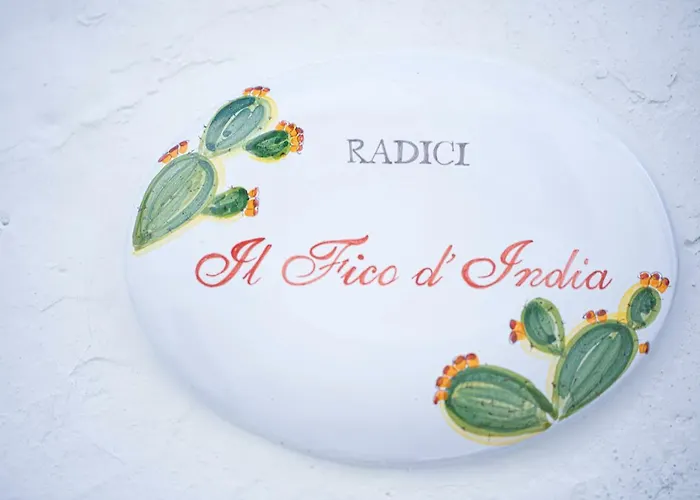 Radici Guest house