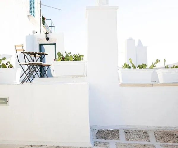 Guest house Radici 3*