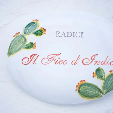 Radici Guest house